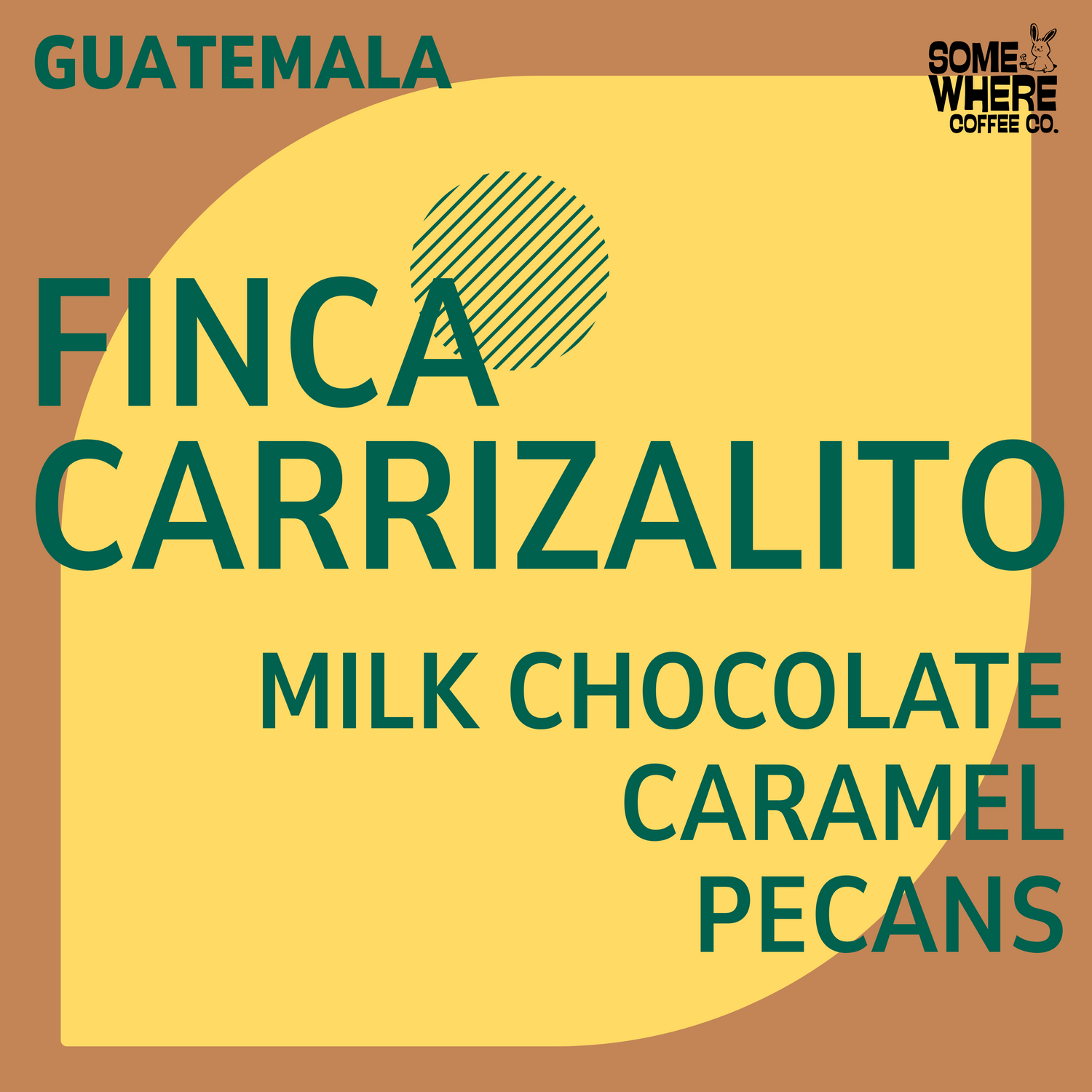Finca Carrizalito Guatemala Coffee Beans Canada, roasted in Edmonton, AB.