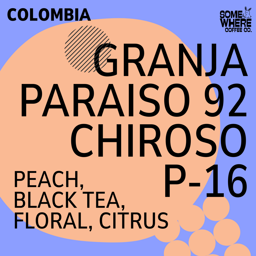 Granja Paraiso 92 Chiroso P-16 coffee with peach, black tea, floral and citrus note. Locally roasted in Edmonton, AB. Available to ship across Canada.