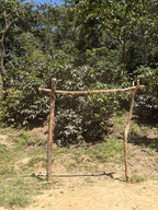 Guatemala | Finca Carrizalito | Washed