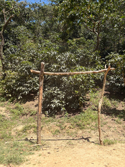 Guatemala | Finca Carrizalito | Washed