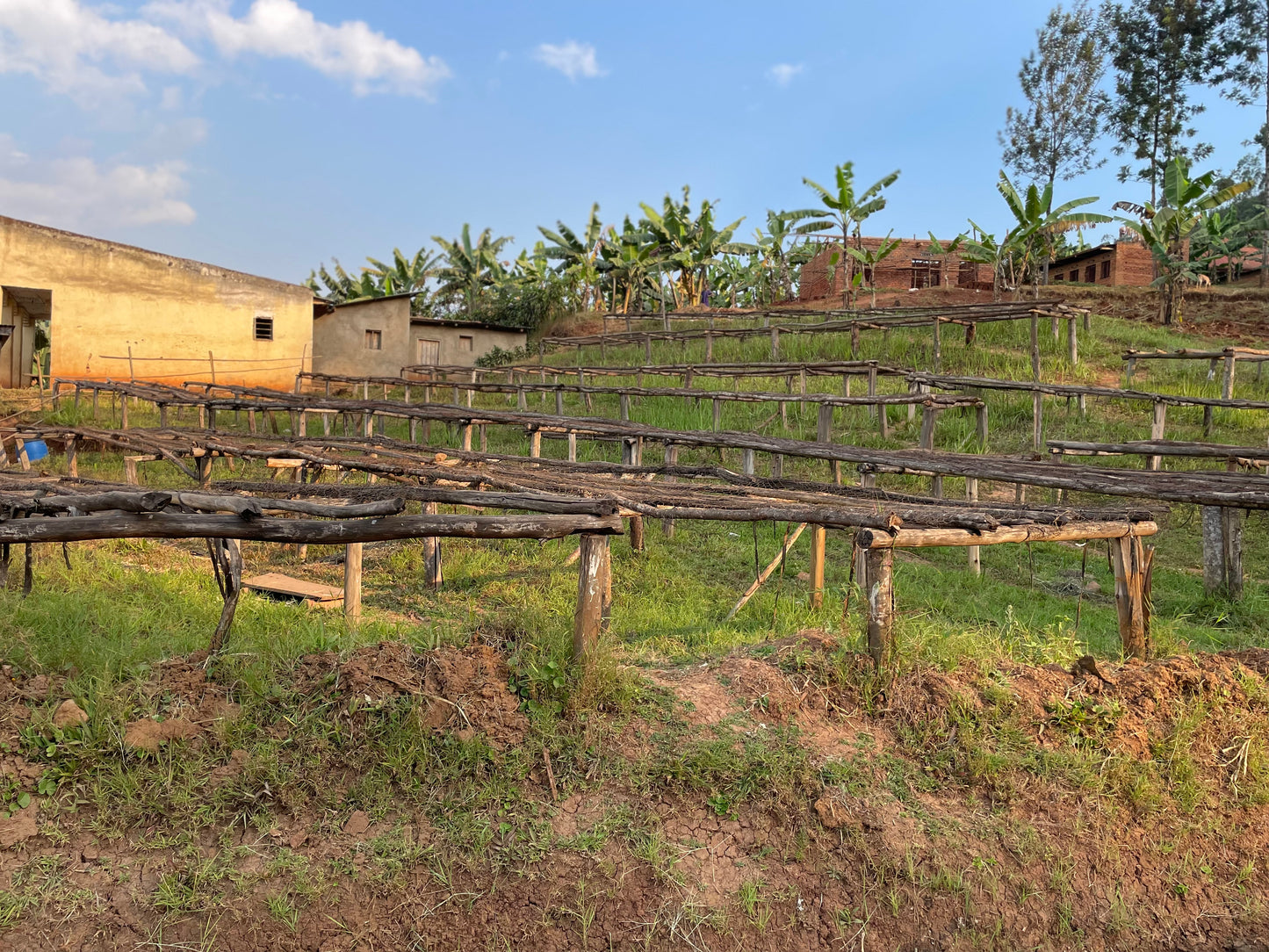 Rwanda | Nyamasheke + Nyaruguru | Ukuri | Anaerobic Natural