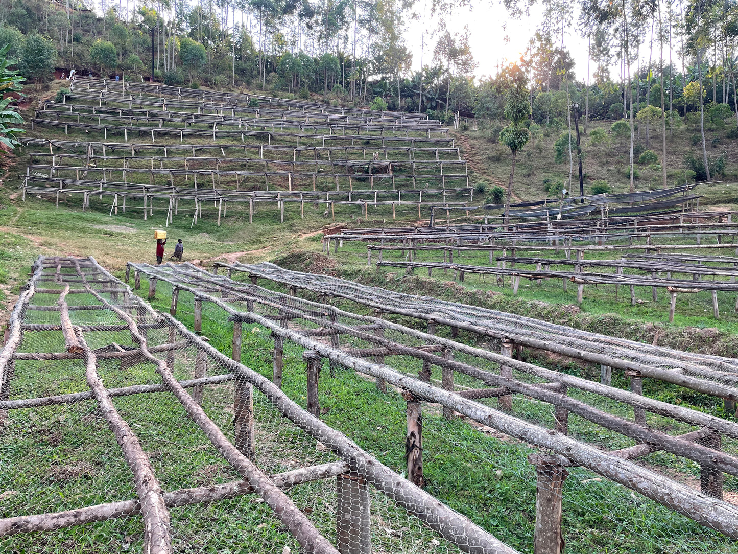 Rwanda | Nyamasheke + Nyaruguru | Ukuri | Anaerobic Natural