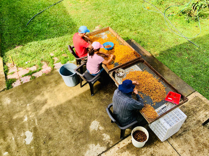 Colombia | Patio Bonito | Natural