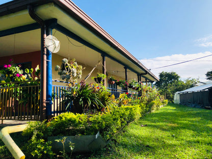 Colombia | Patio Bonito | Natural