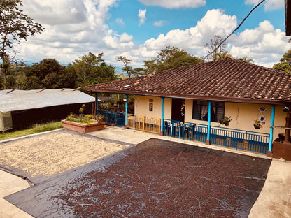 Colombia | Patio Bonito | Natural