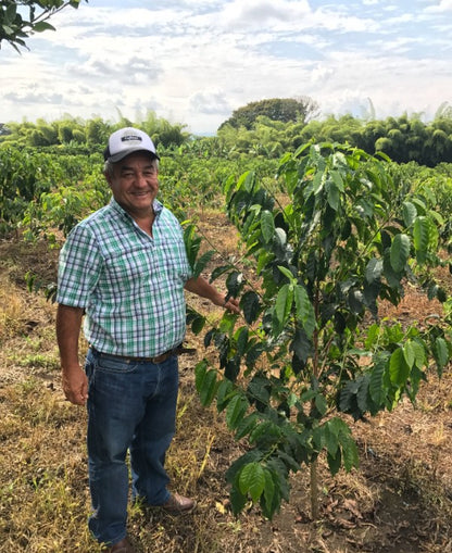 Colombia | Jairo Arcila | Green Apple Co-Ferment