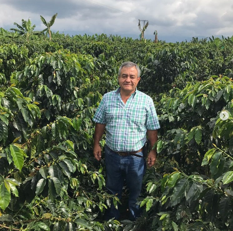 Colombia | Jairo Arcila | Green Apple Co-Ferment