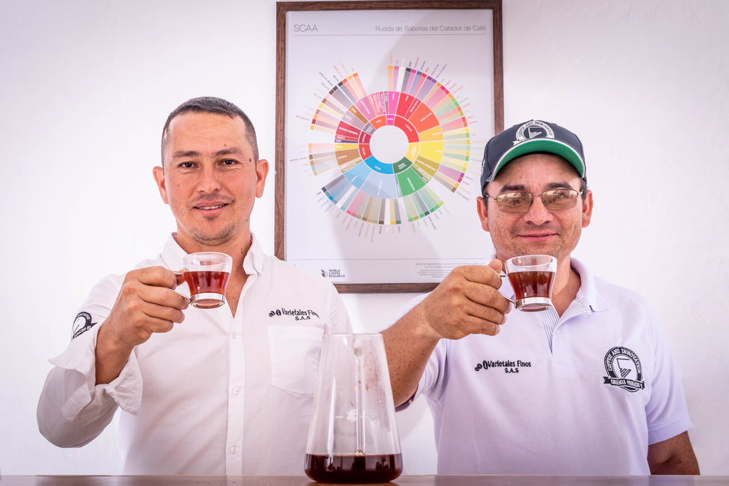 Colombia | Paraíso 92 | Pink Bourbon P-09