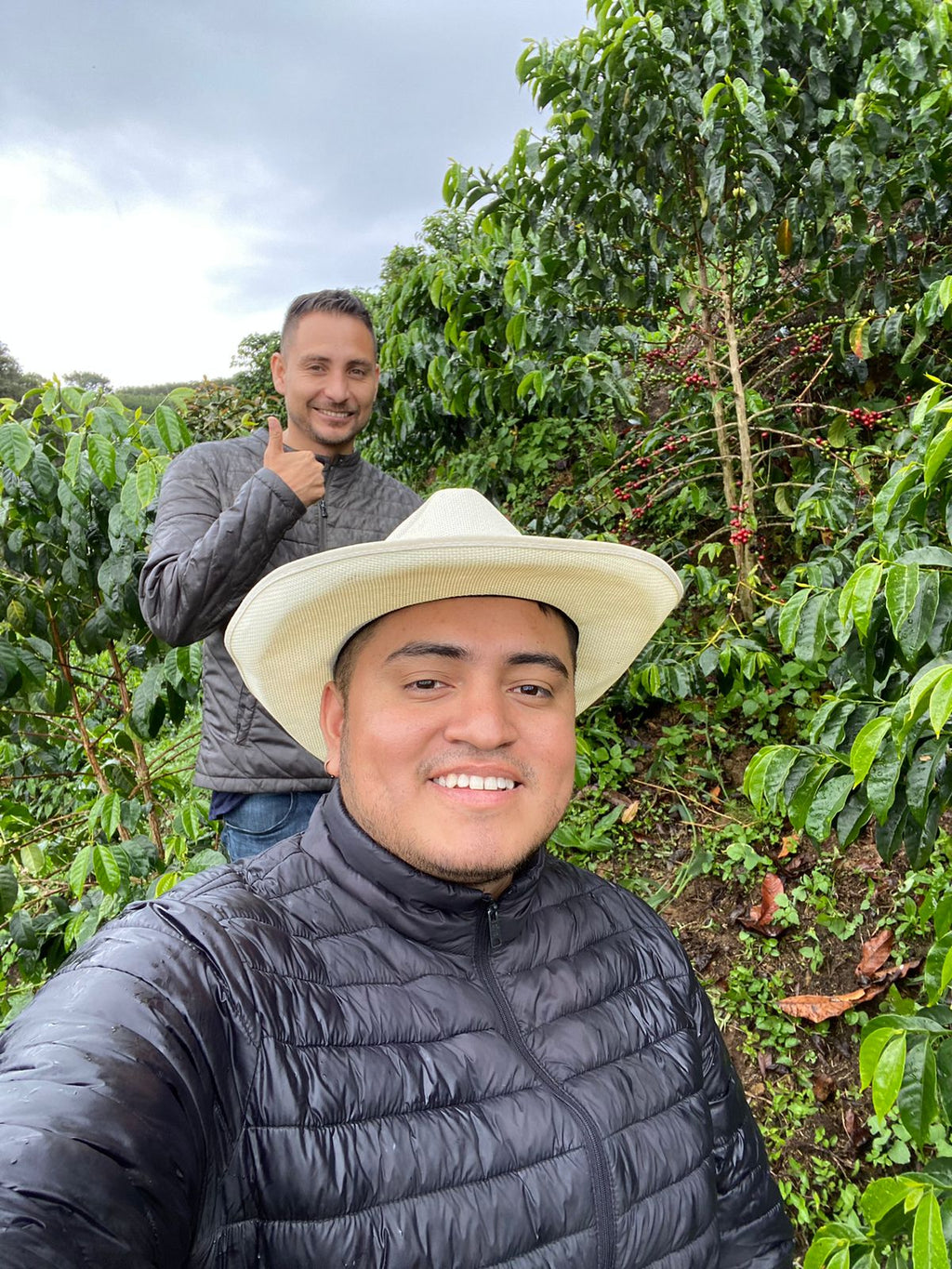 Colombia | La Reserva | Stonefruit Co-Ferment