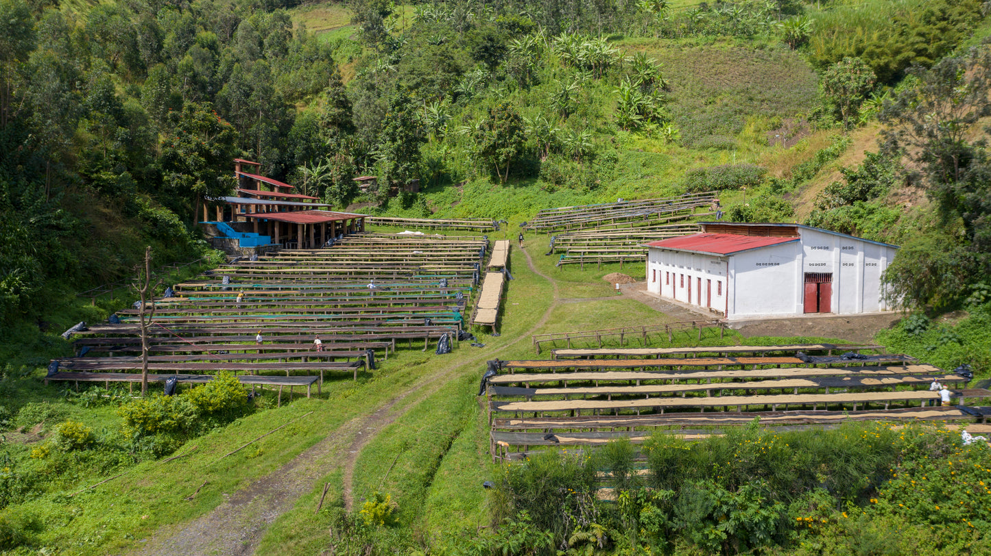 Rwanda | Nyamasheke | Ngoma Bikunda Island | Natural