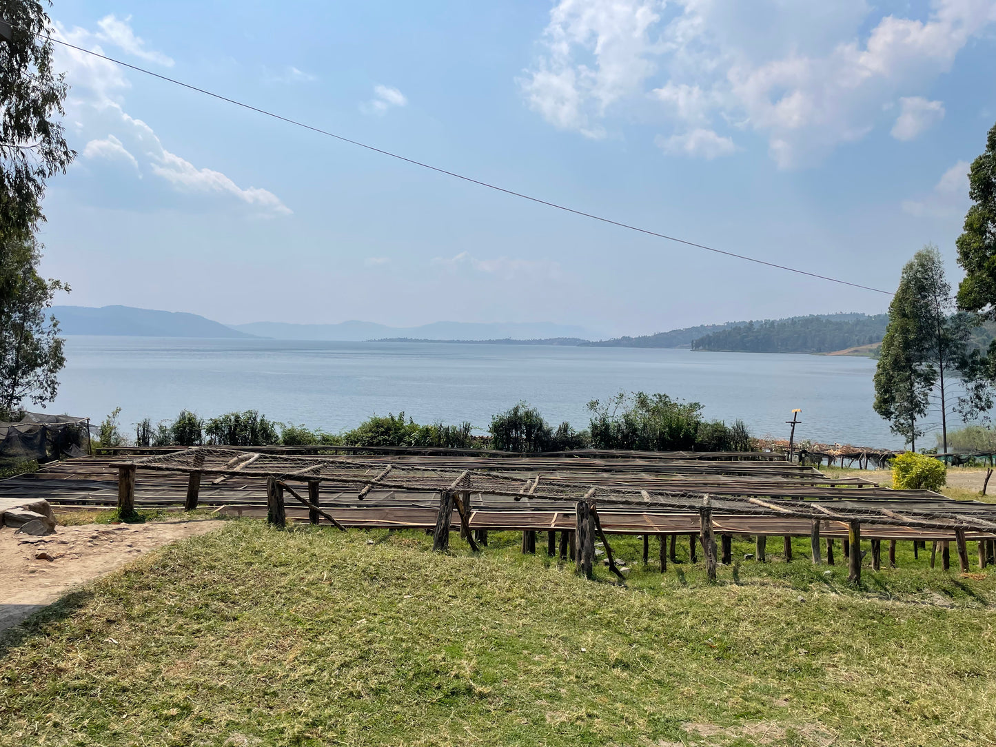 Rwanda | Nyamasheke | Ngoma Bikunda Island | Natural