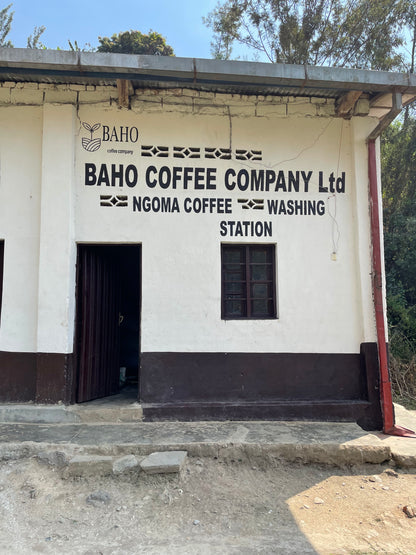 Rwanda | Nyamasheke + Nyaruguru | Ukuri | Anaerobic Natural
