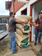 Colombia | Finca El Guayabo | Pink Bourbon Natural