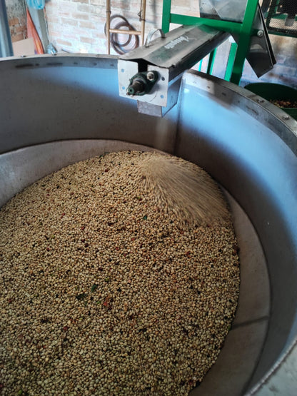 Colombia | La Marquesa | Castillo Washed