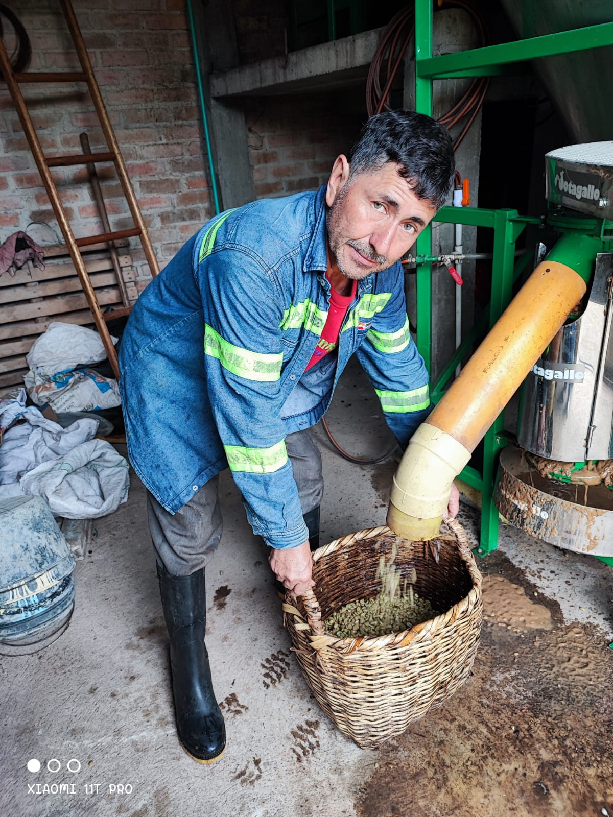 Colombia | La Marquesa | Castillo Washed