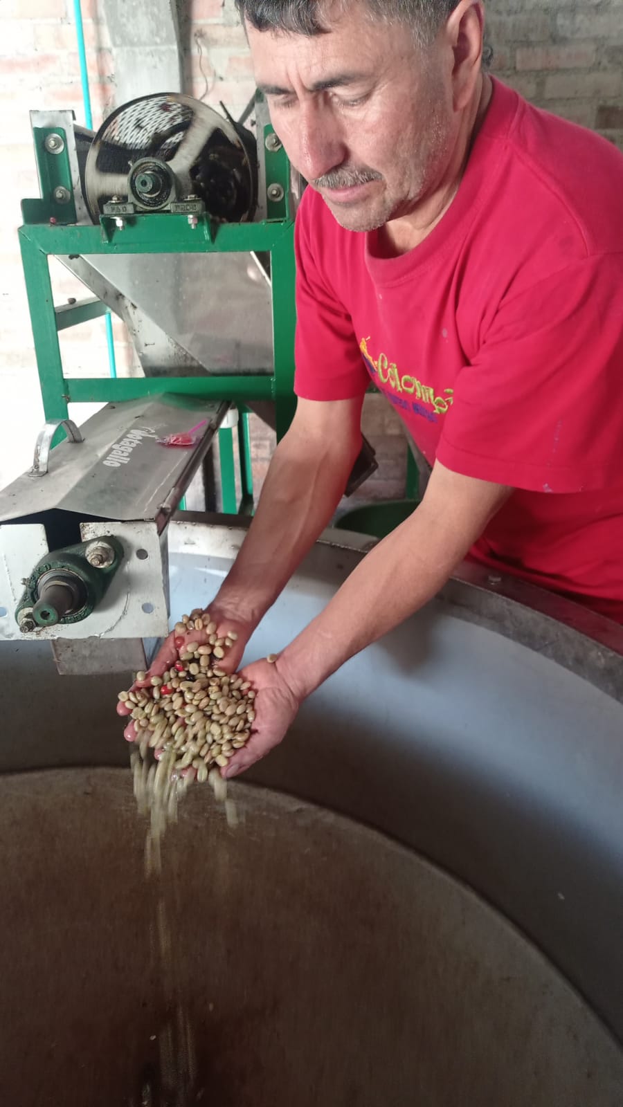 Colombia | La Marquesa | Castillo Washed