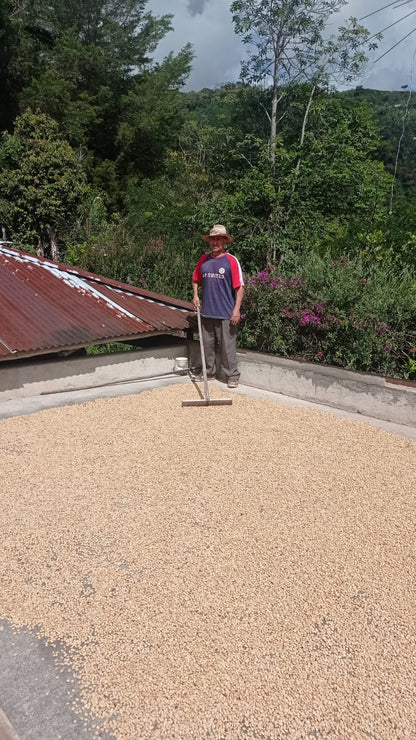 Colombia | La Marquesa | Castillo Washed