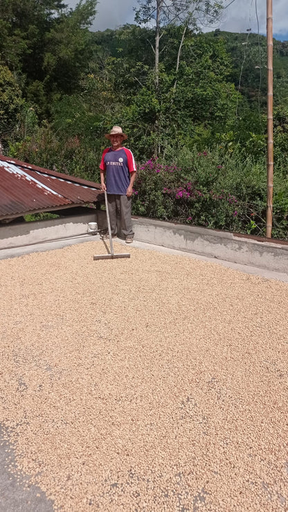 Colombia | La Marquesa | Castillo Washed