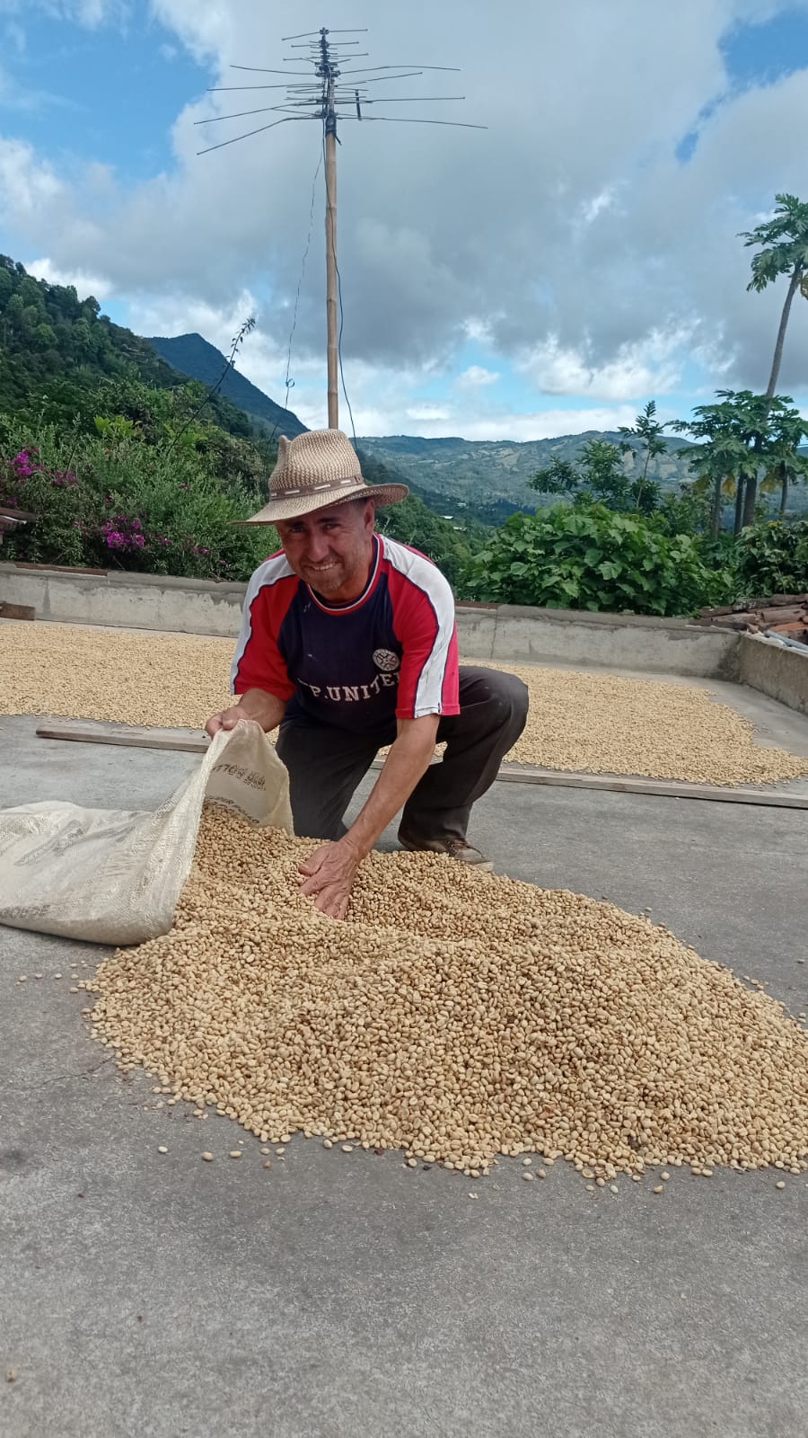 Colombia | La Marquesa | Castillo Washed