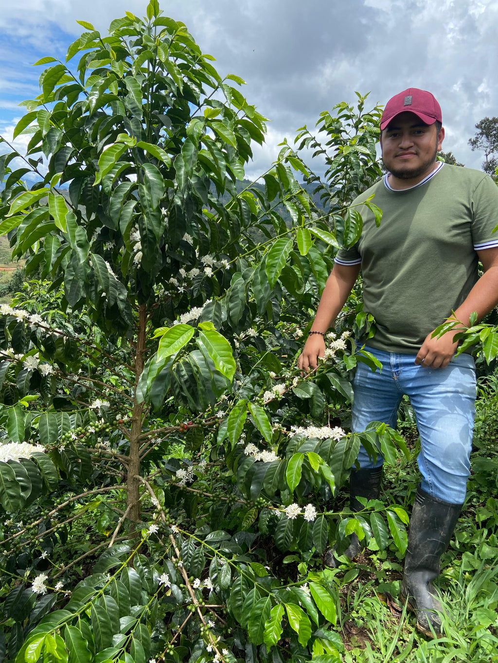 Colombia | La Reserva | Stonefruit Co-Ferment