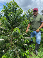 Colombia | La Reserva | Stonefruit Co-Ferment