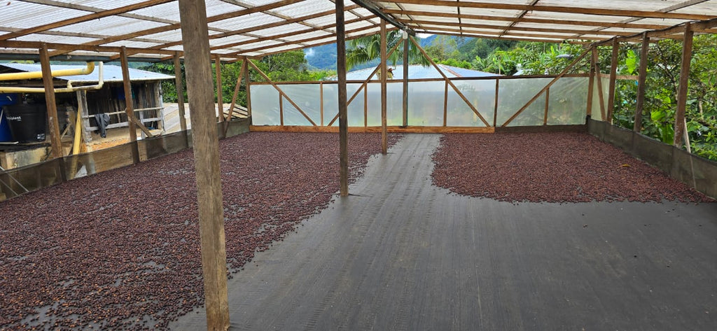 Colombia | Las Brisas | Ombligon Natural