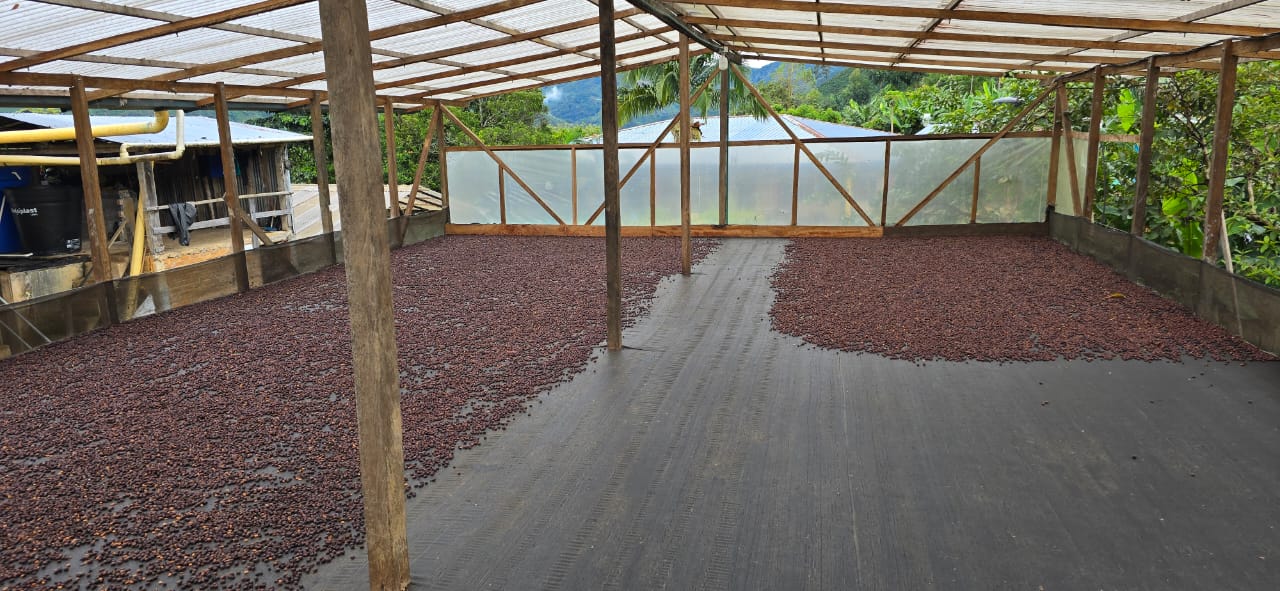 Colombia | Las Brisas | Ombligon Natural