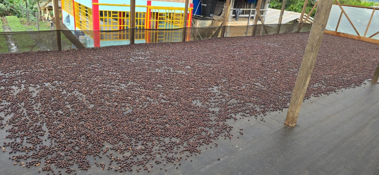 Colombia | Las Brisas | Ombligon Natural