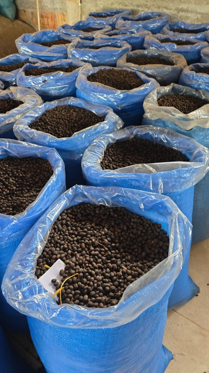 Colombia | Las Brisas | Ombligon Natural