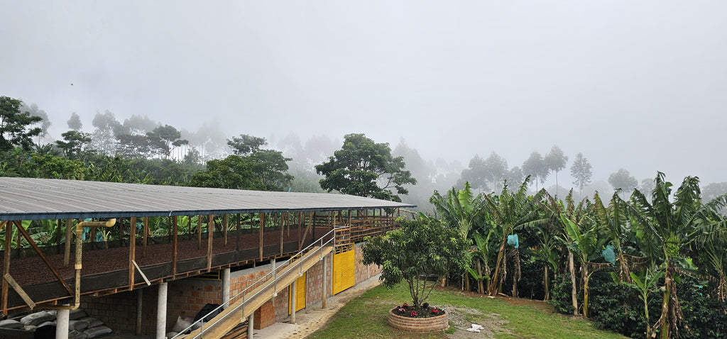 Colombia | Las Brisas | Ombligon Natural