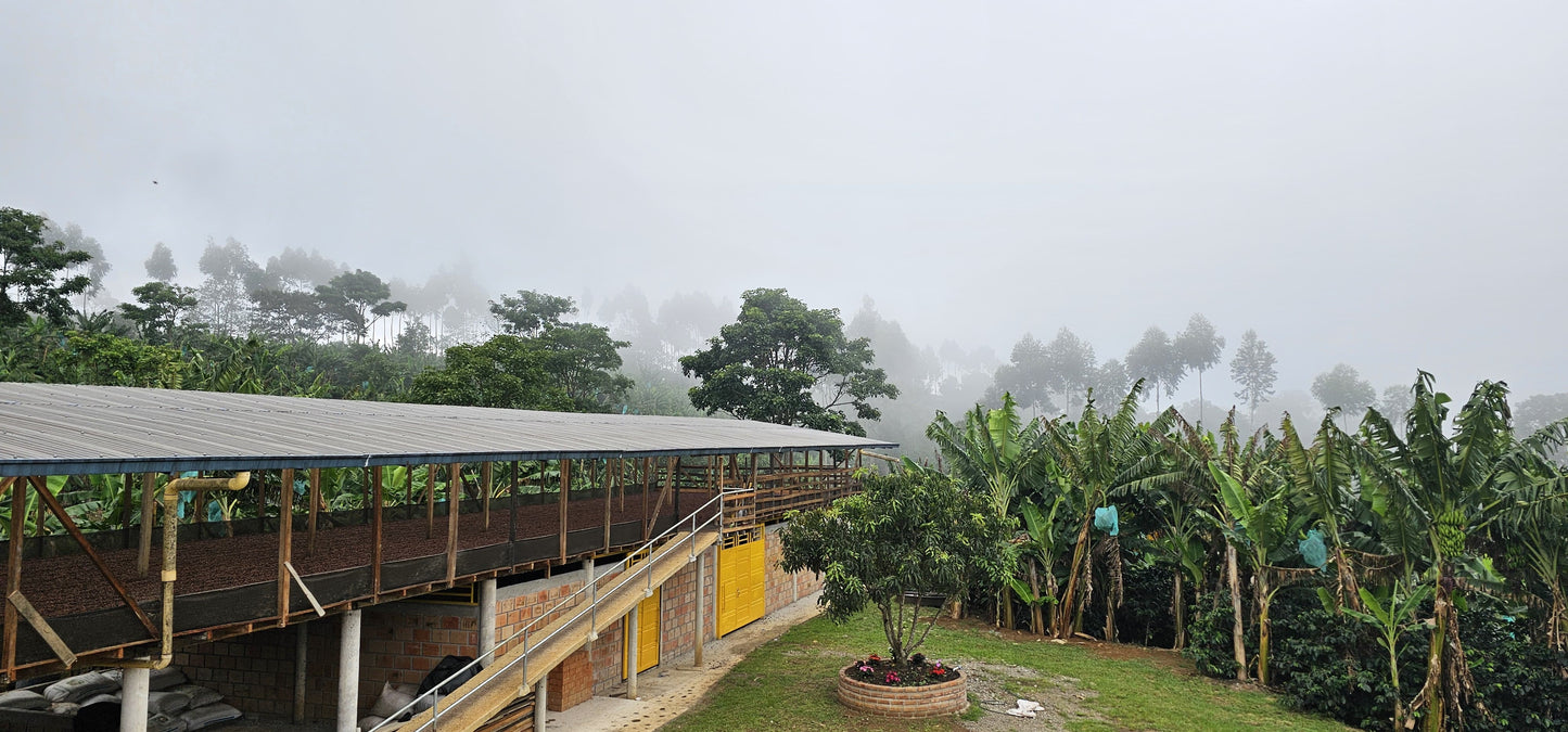 Colombia | Las Brisas | Ombligon Natural