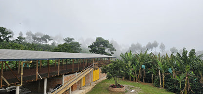 Colombia | Las Brisas | Ombligon Natural