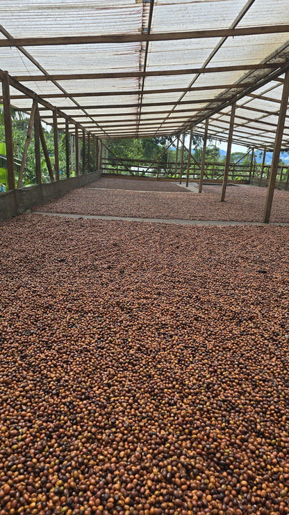 Colombia | Las Brisas | Ombligon Natural