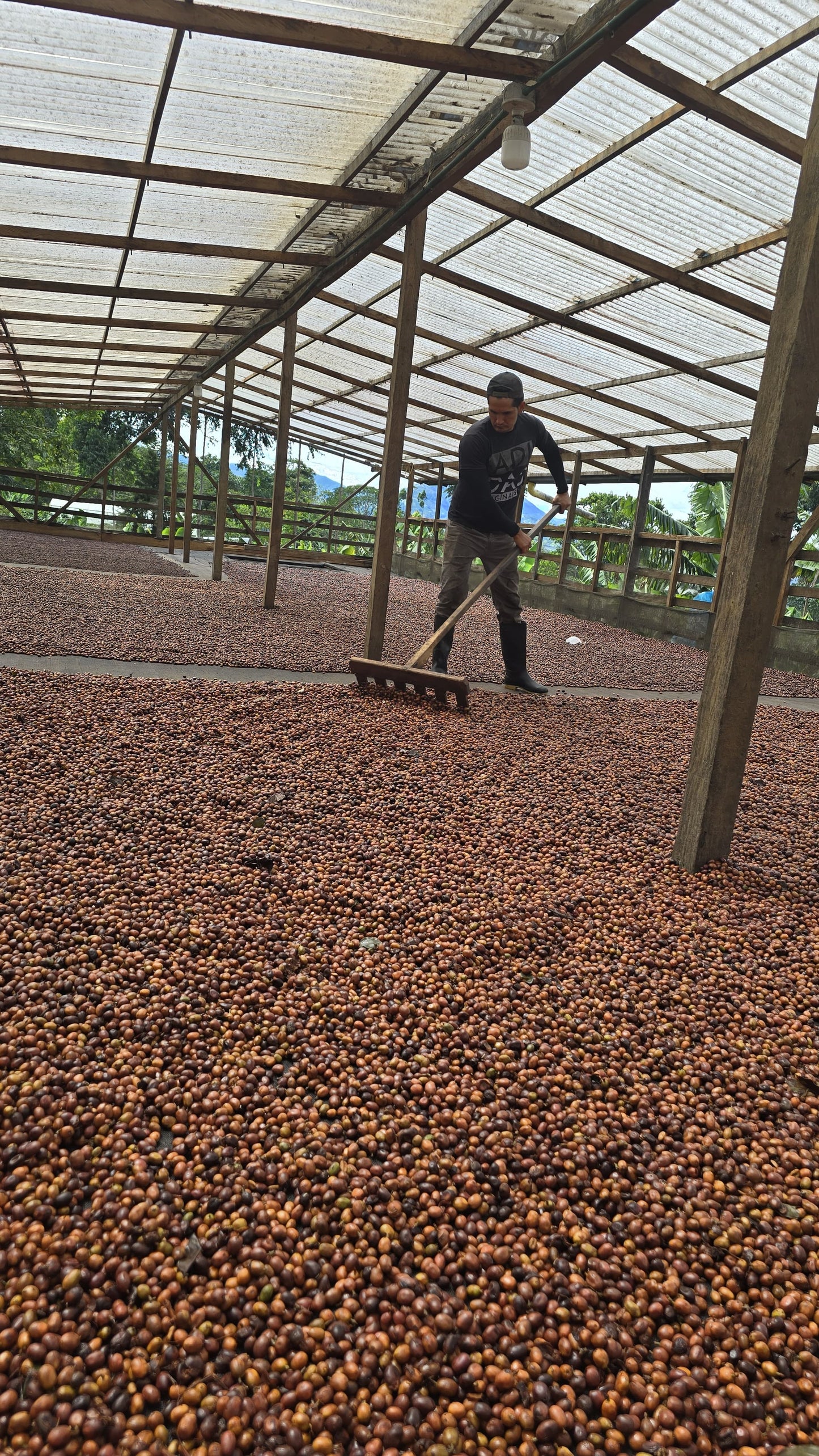 Colombia | Las Brisas | Ombligon Natural