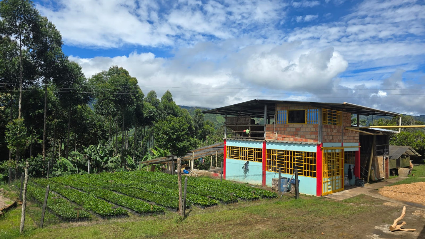 Colombia | Las Brisas | Ombligon Natural