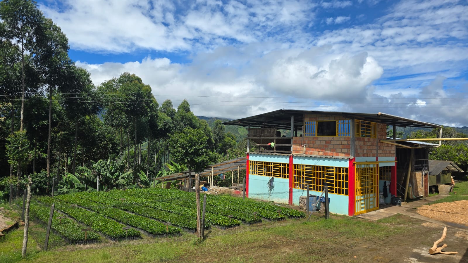 Colombia | Las Brisas | Ombligon Natural