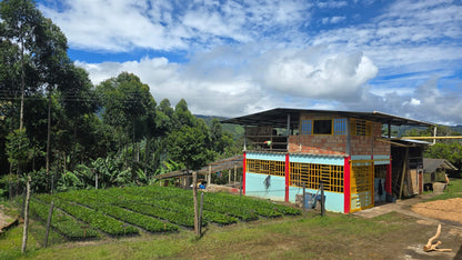 Colombia | Las Brisas | Ombligon Natural
