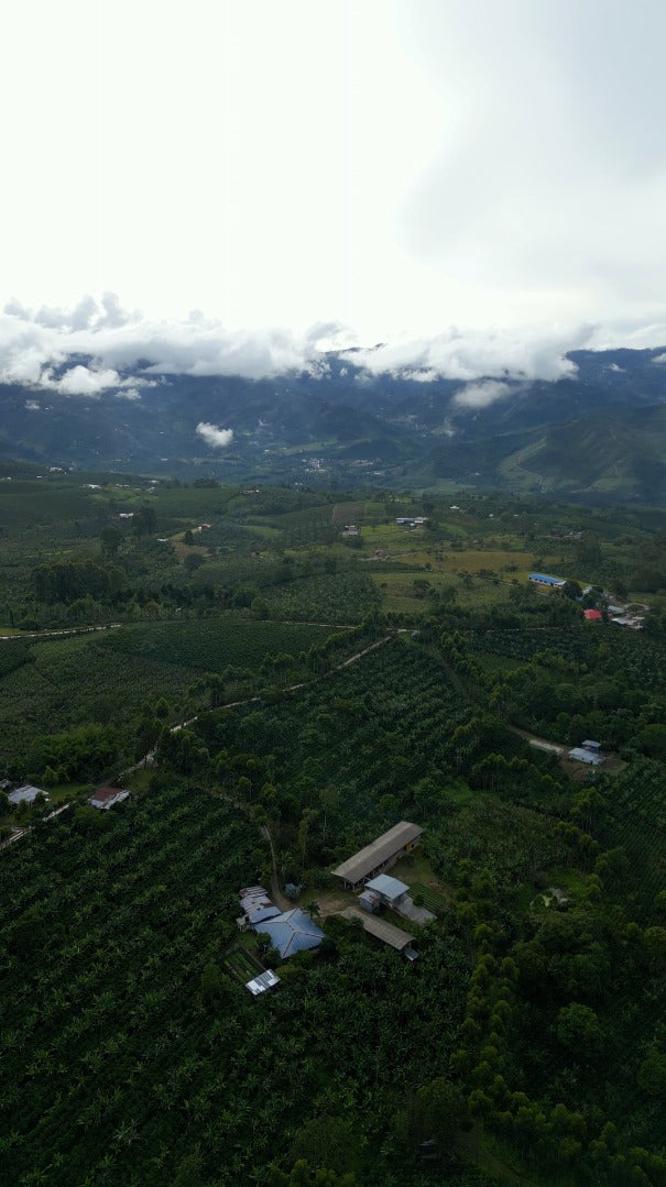 Colombia | Las Brisas | Ombligon Natural