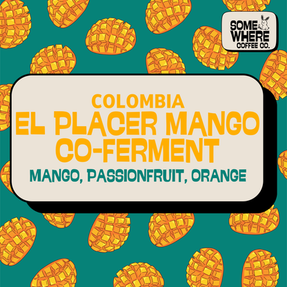 Colombia Pink Bourbon Co-Fermented Coffee: El Placer Mango