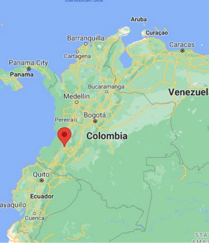 Colombia | Paraiso 92 | Red Bourbon Decaf