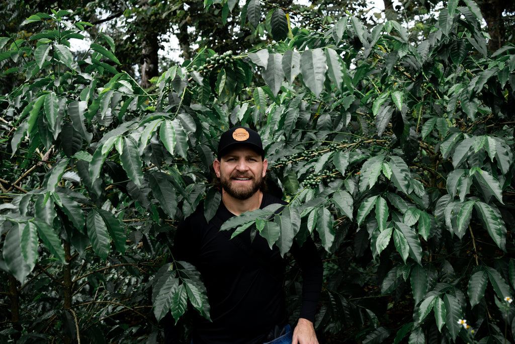 Colombia | Thermal Shock, Blackberry | Anaerobic Caturra