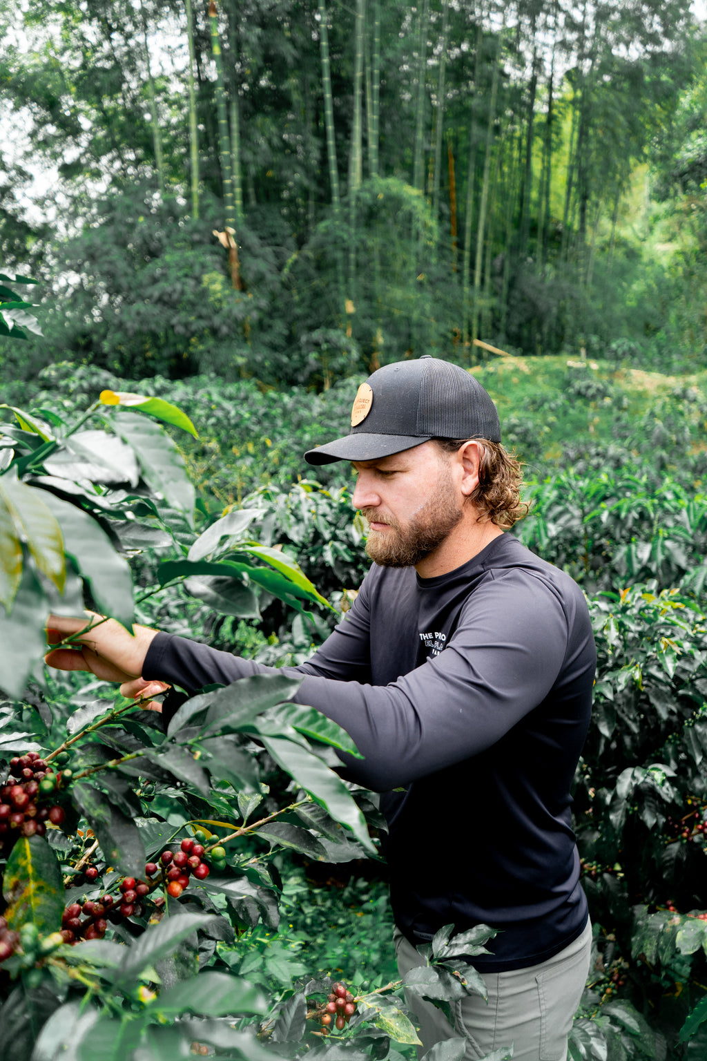 Colombia | Thermal Shock, Blackberry | Anaerobic Caturra