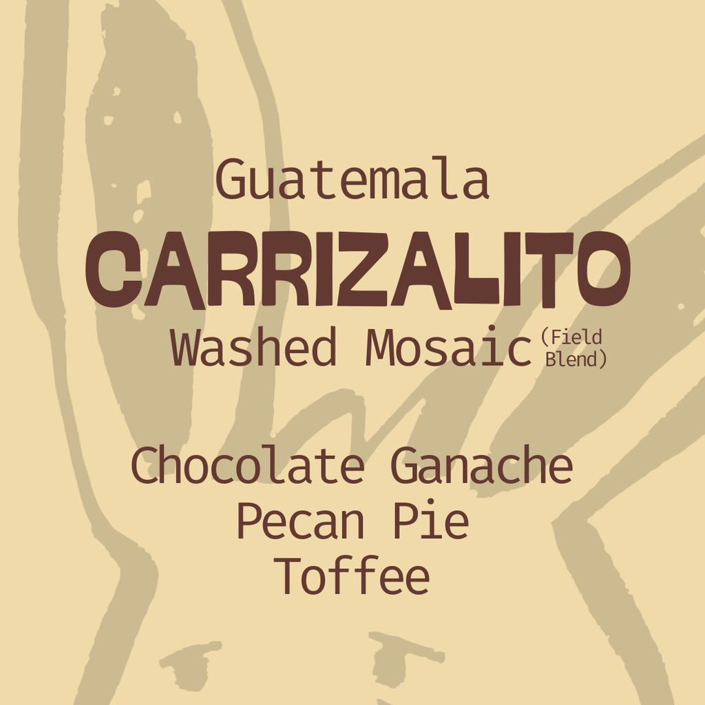 Guatemala | Finca Carrizalito | Washed