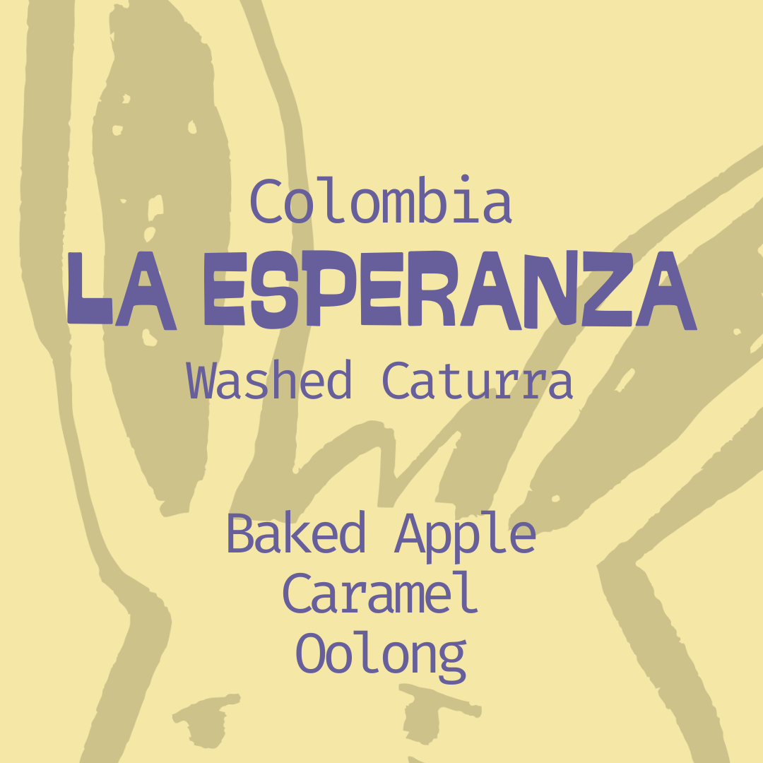 Colombia | La Esperanza | Washed Caturra