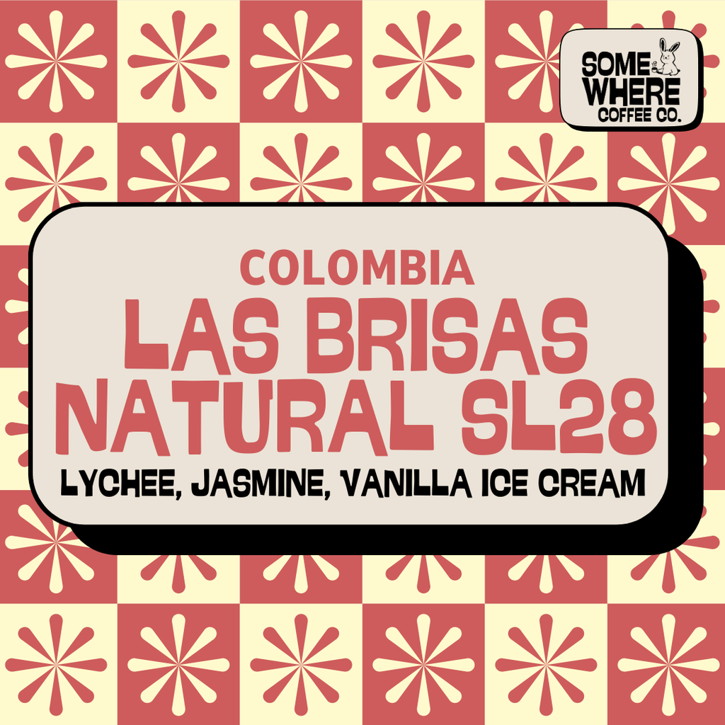 Colombia | Las Brisas | SL28 Natural