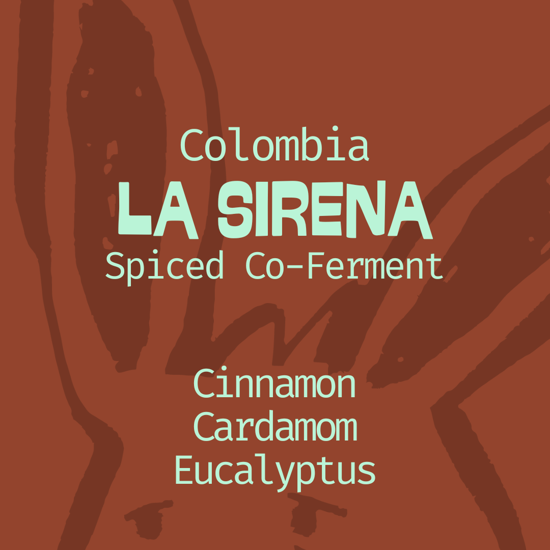 Colombia | La Sirena | Spiced Co-Ferment
