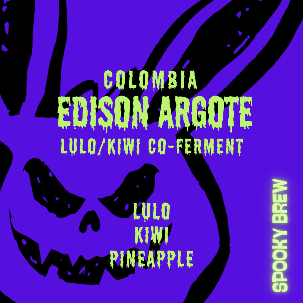 Colombia | Quebraditas | Kiwi Lulo Co-Ferment