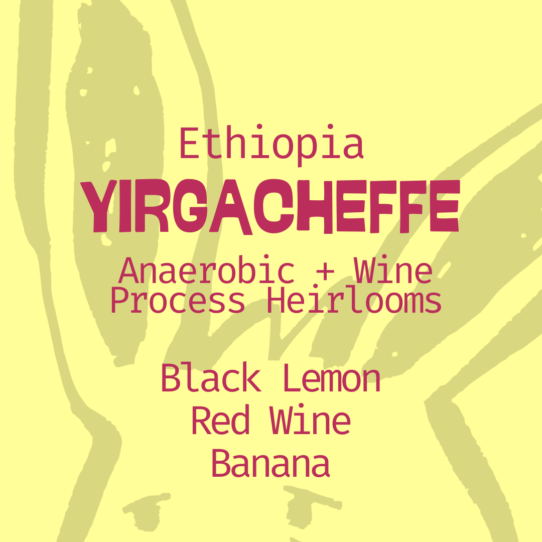 Ethiopia | Yirgacheffe | Anaerobic + Wine Process Heirlooms