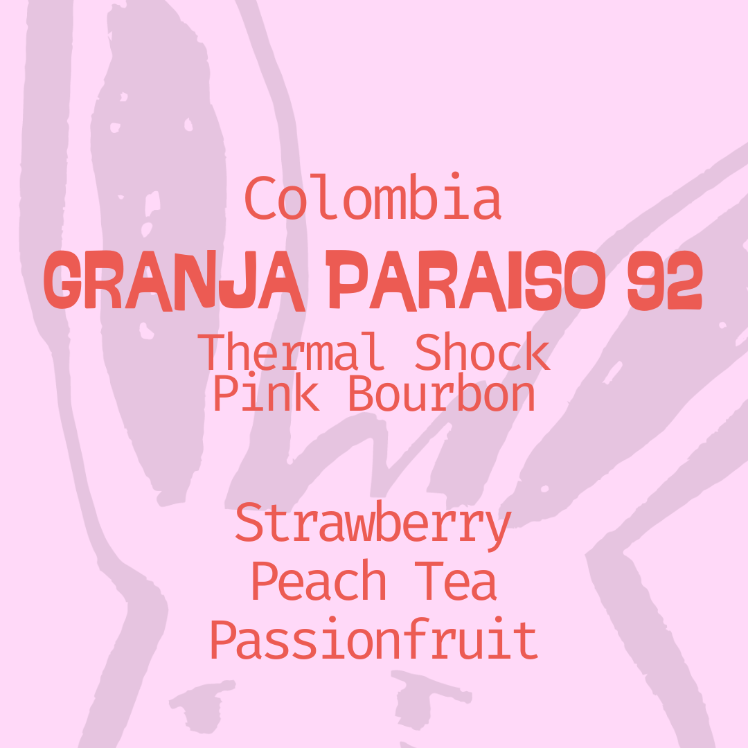 Colombia | Paraíso 92 | Thermal Shock Pink Bourbon