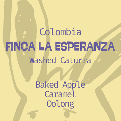 Colombia | La Esperanza | Washed Caturra